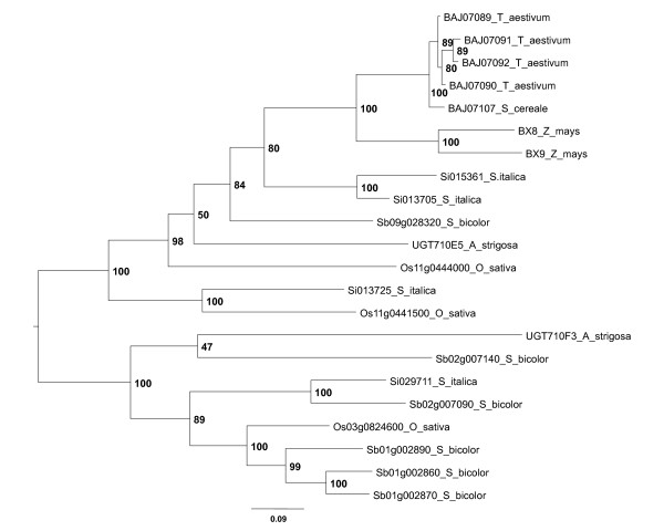 Figure 9 