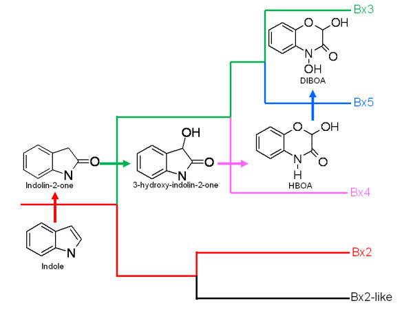 Figure 10 