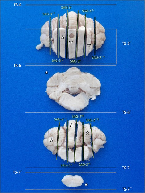 Fig. 17