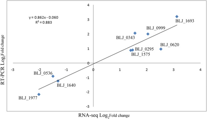 Fig. 2