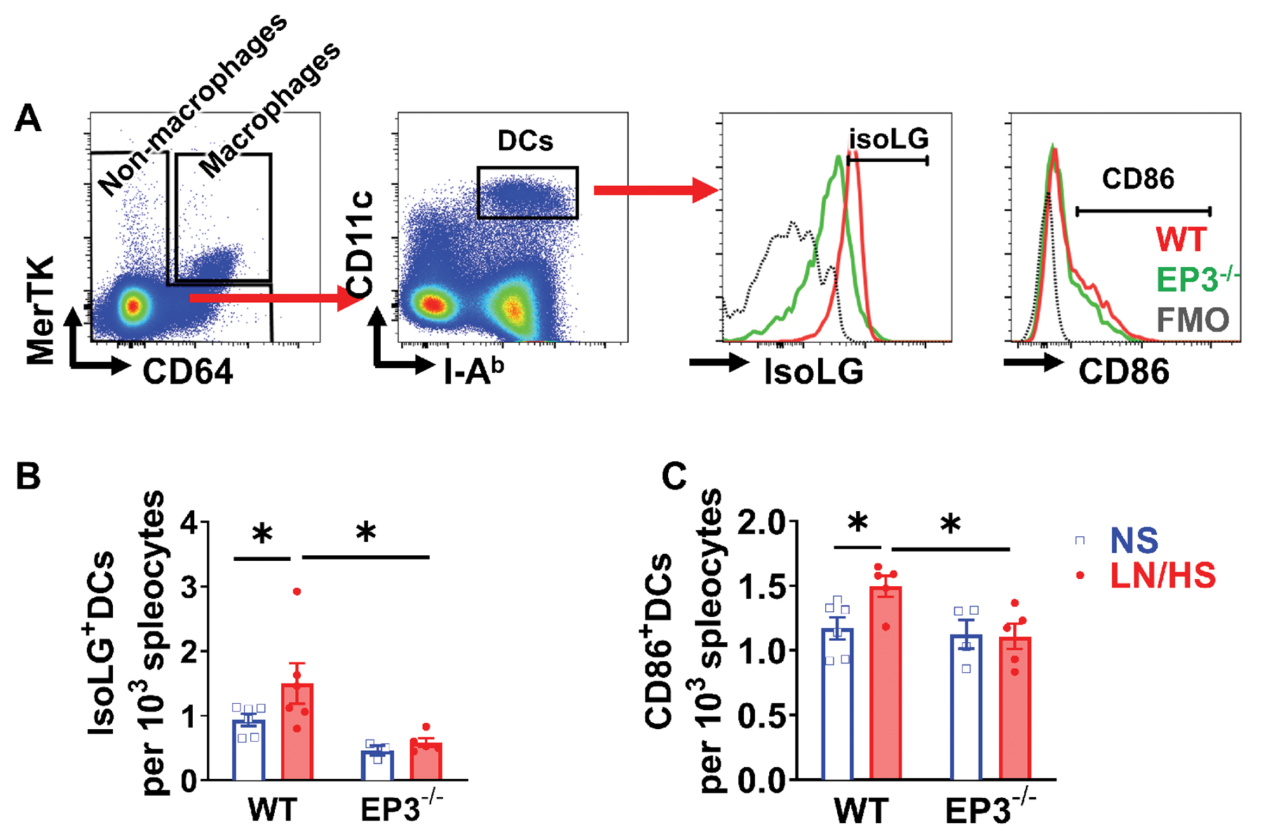 Figure 4: