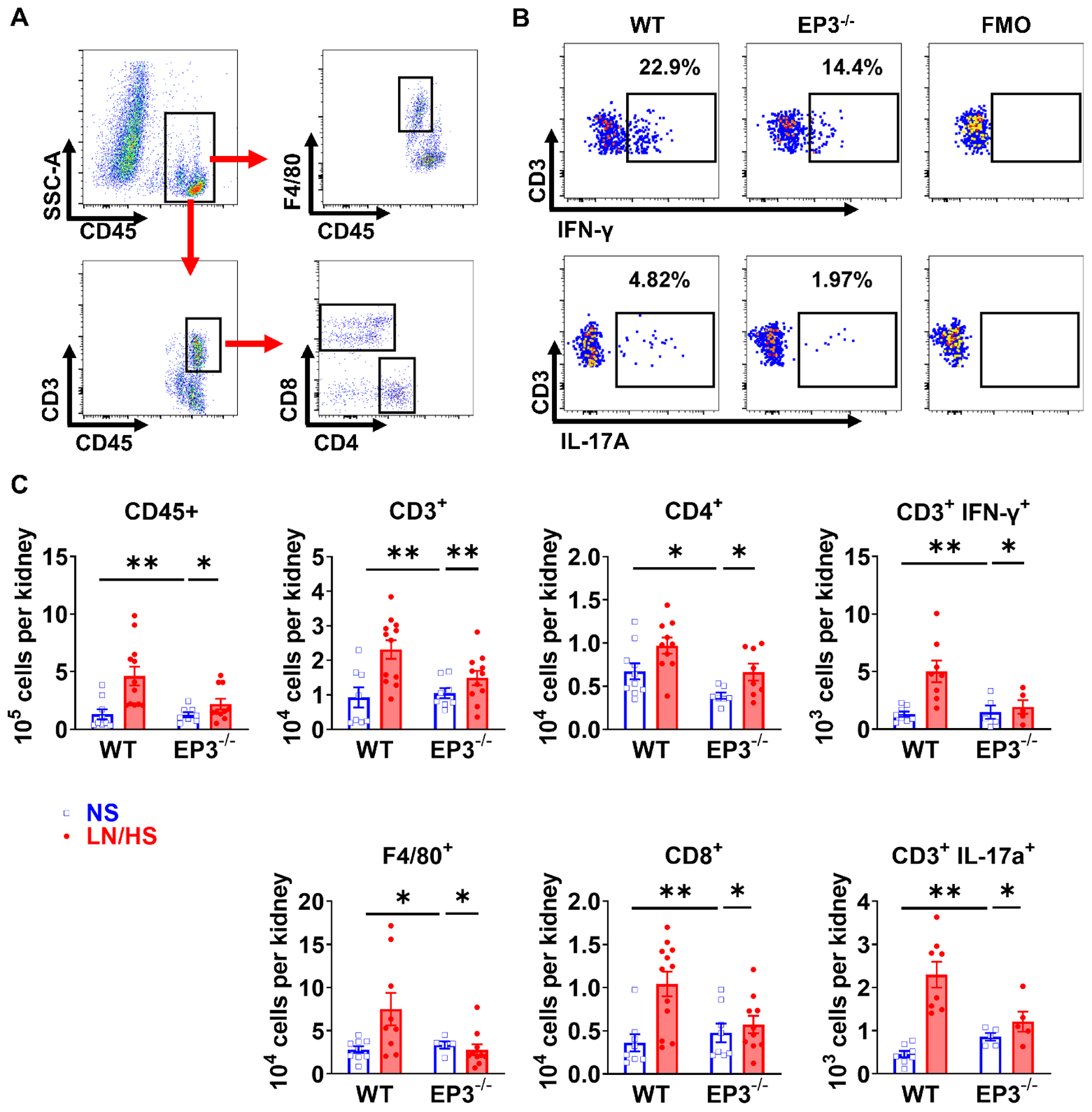 Figure 3: