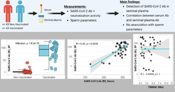 Image, graphical abstract