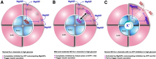 FIG. 1.