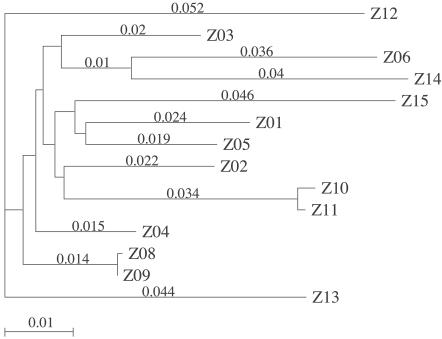 FIG. 6.