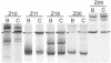 FIG. 8.