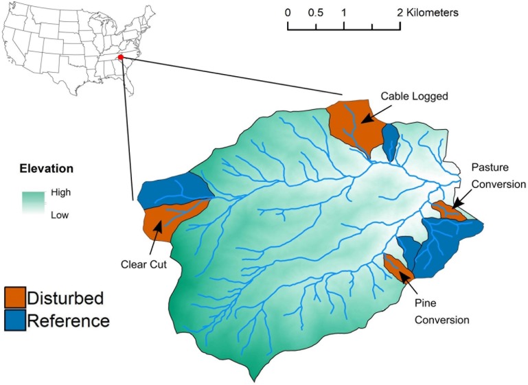 FIGURE 1