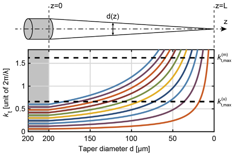 Fig. 2