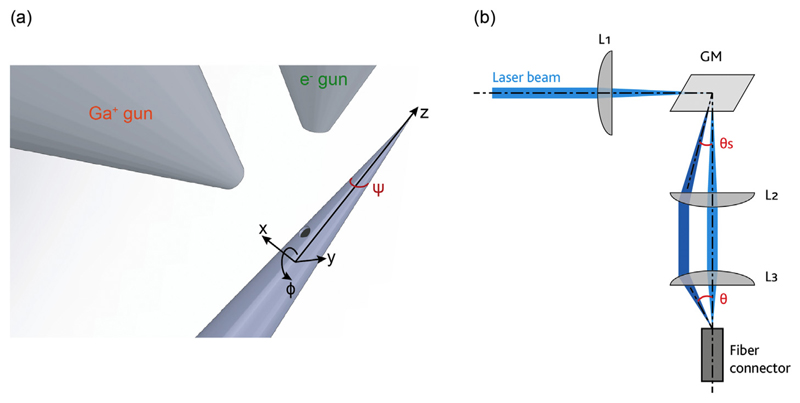 Fig. 1