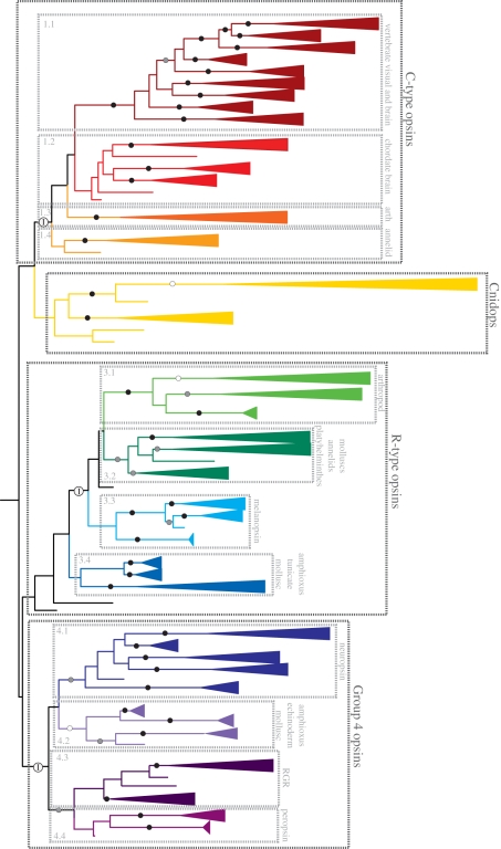 Figure 2.