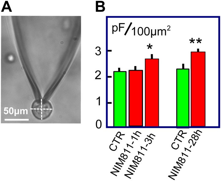 Figure 7.