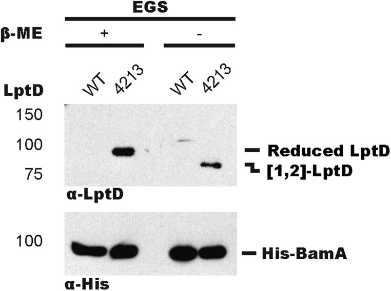 Fig. S3.