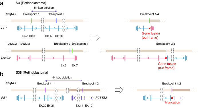 Fig. 4