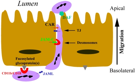 Figure 9.