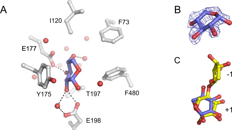 Fig 5