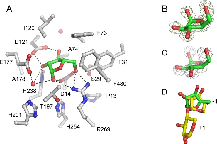 Fig 4