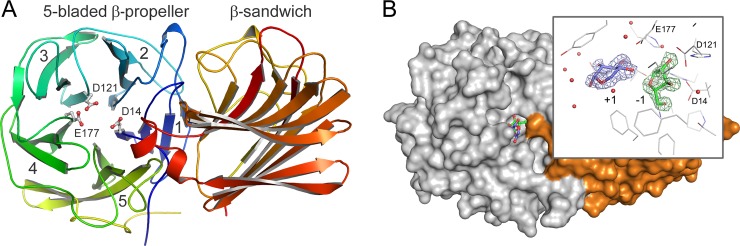 Fig 1