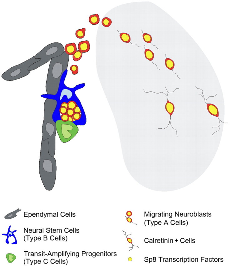 Figure 10.