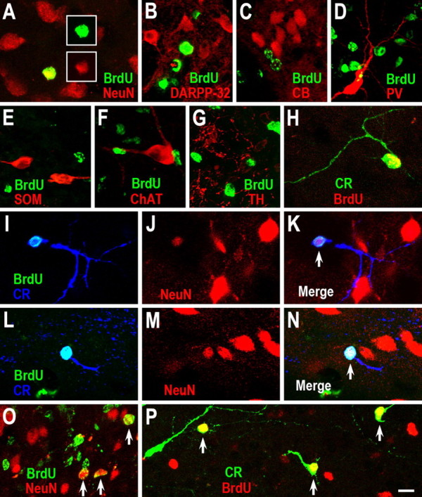 Figure 2.