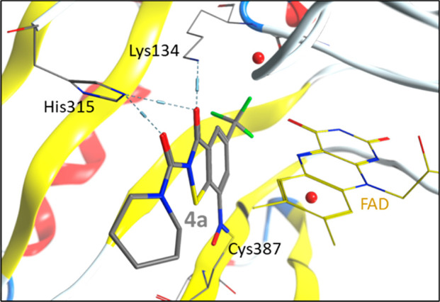 Figure 7