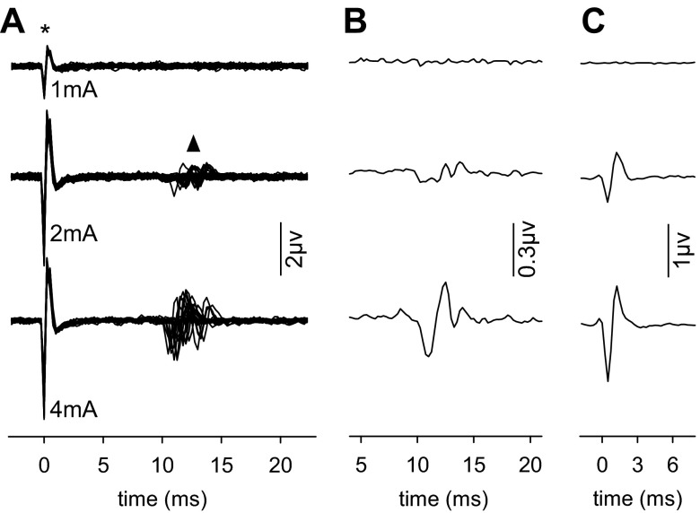 Fig. 3.