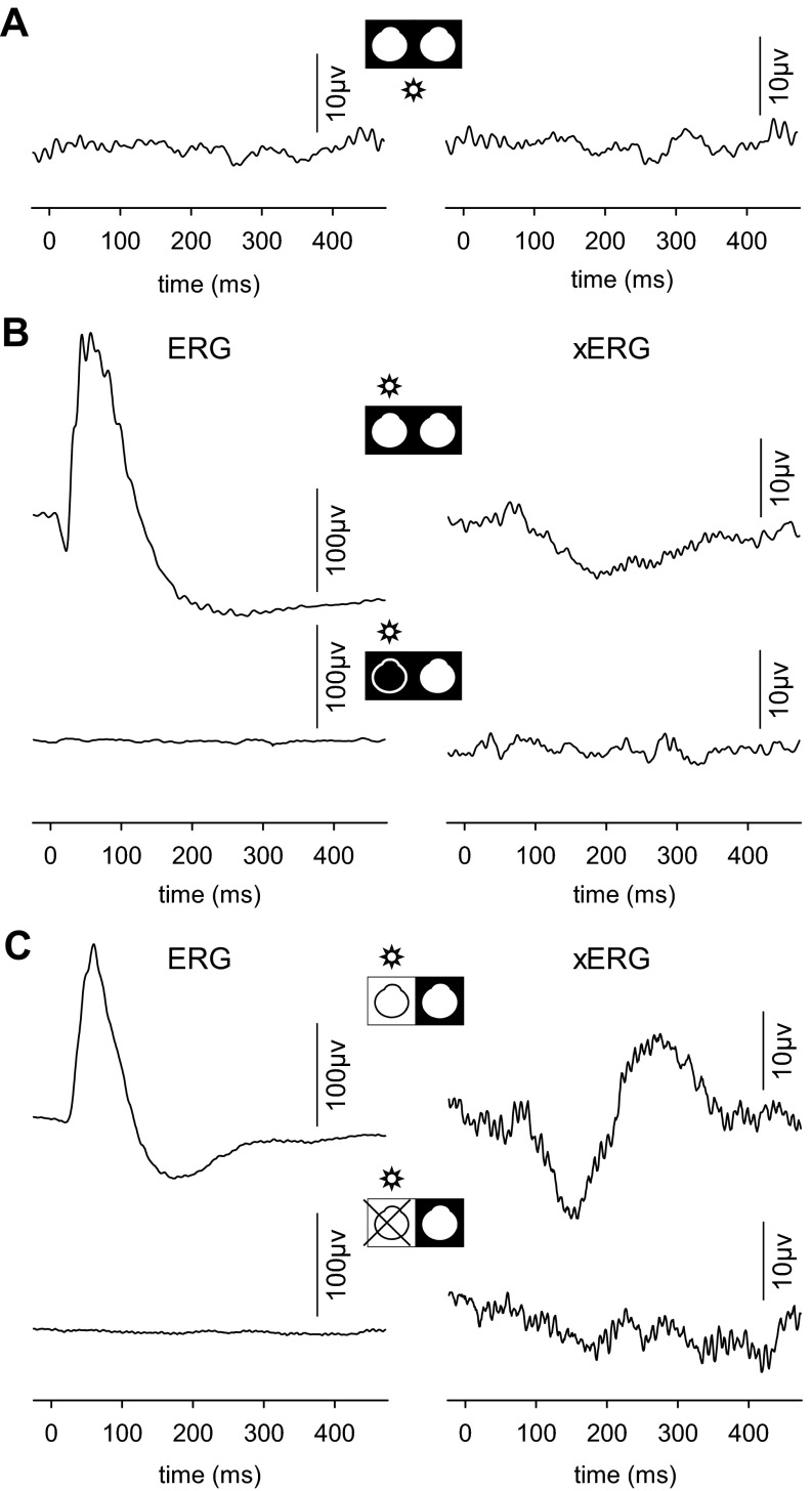 Fig. 5.