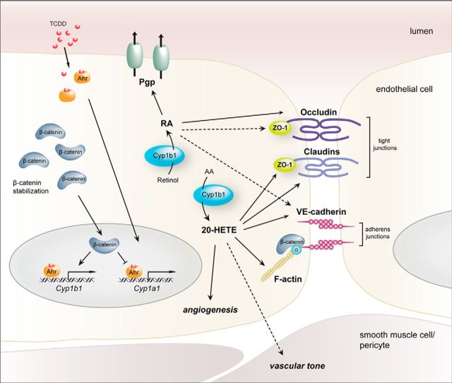 Figure 12.