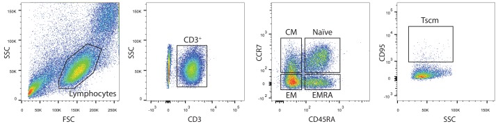 Figure 3—figure supplement 1.