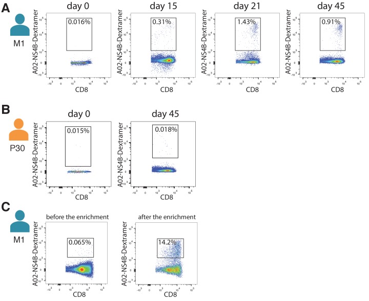 Figure 4—figure supplement 1.