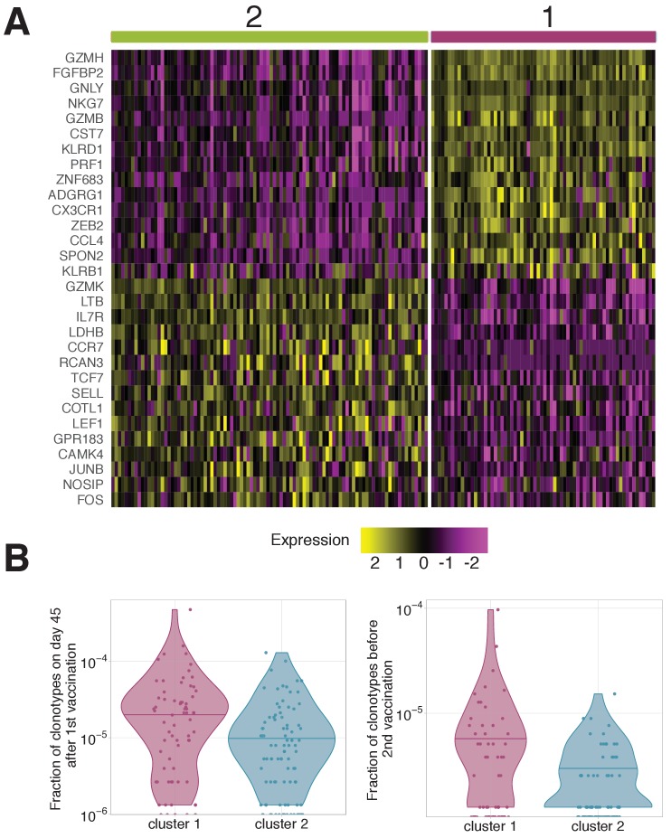 Figure 5—figure supplement 2.