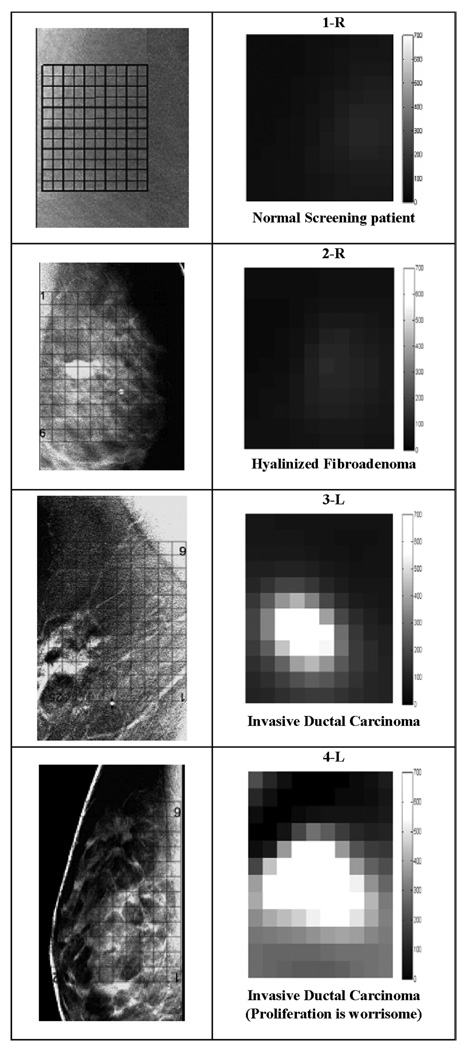 Fig. 6