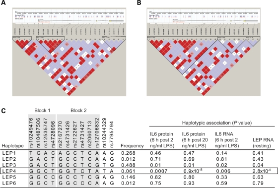 Figure 4.