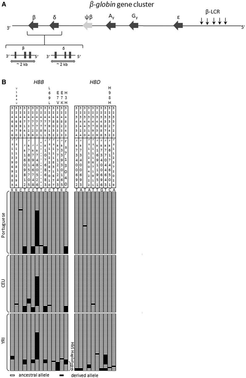 Fig. 1.—