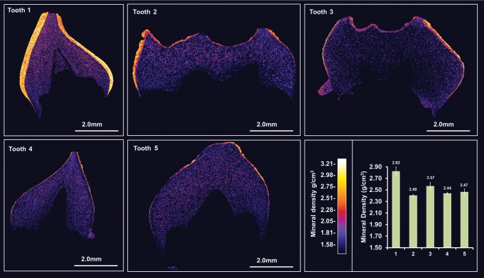 Figure 3.