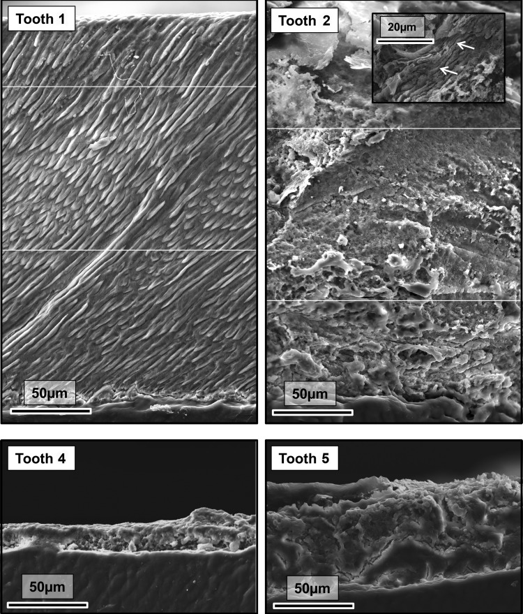 Figure 4.