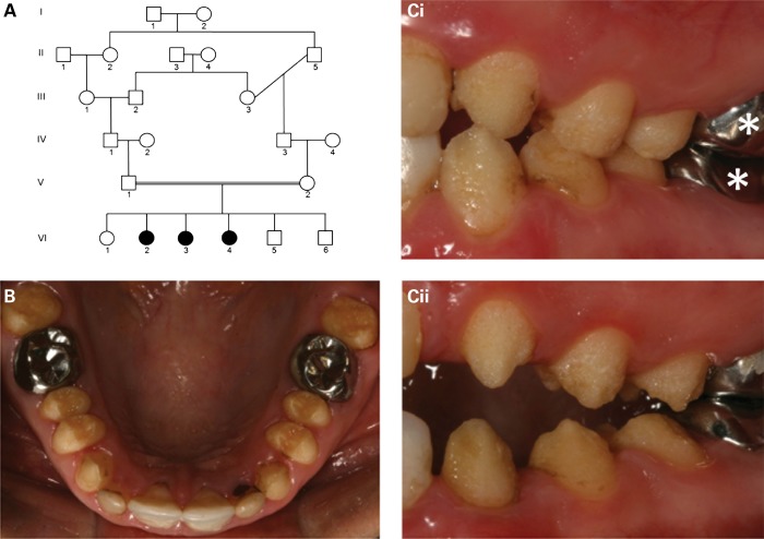 Figure 1.