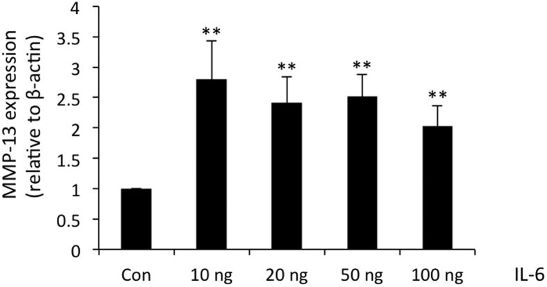 Figure 4