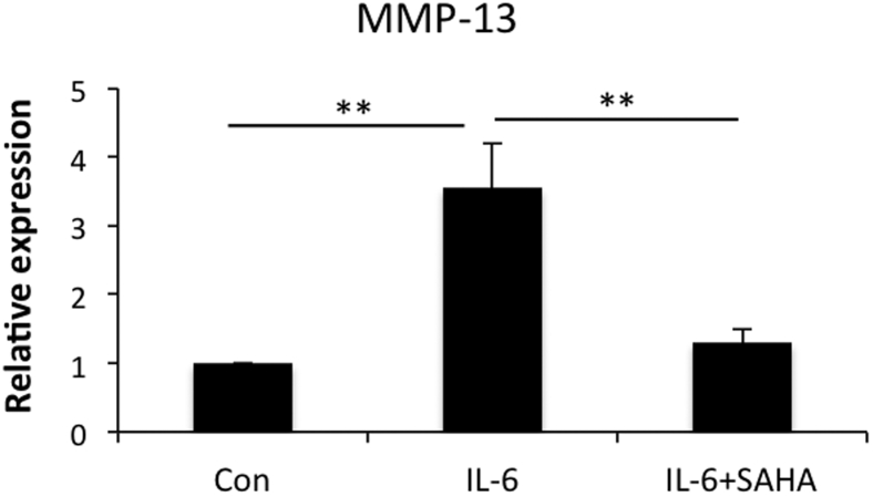 Figure 6