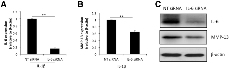 Figure 5