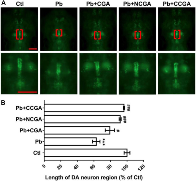 FIGURE 3