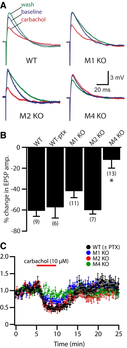 Fig. 9.