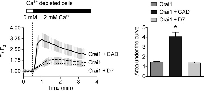 FIGURE 10.