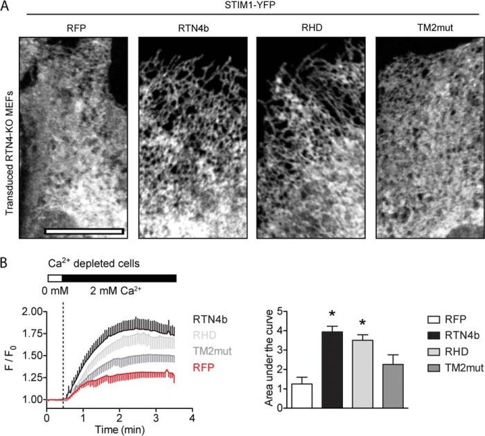 FIGURE 12.