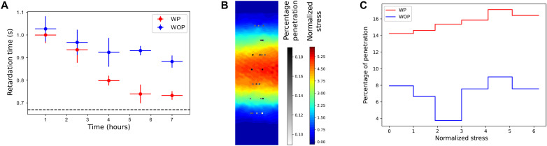 Fig. 6.