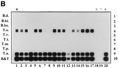 FIG. 7