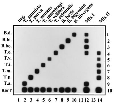 FIG. 5