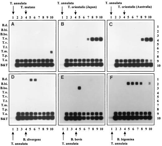 FIG. 6