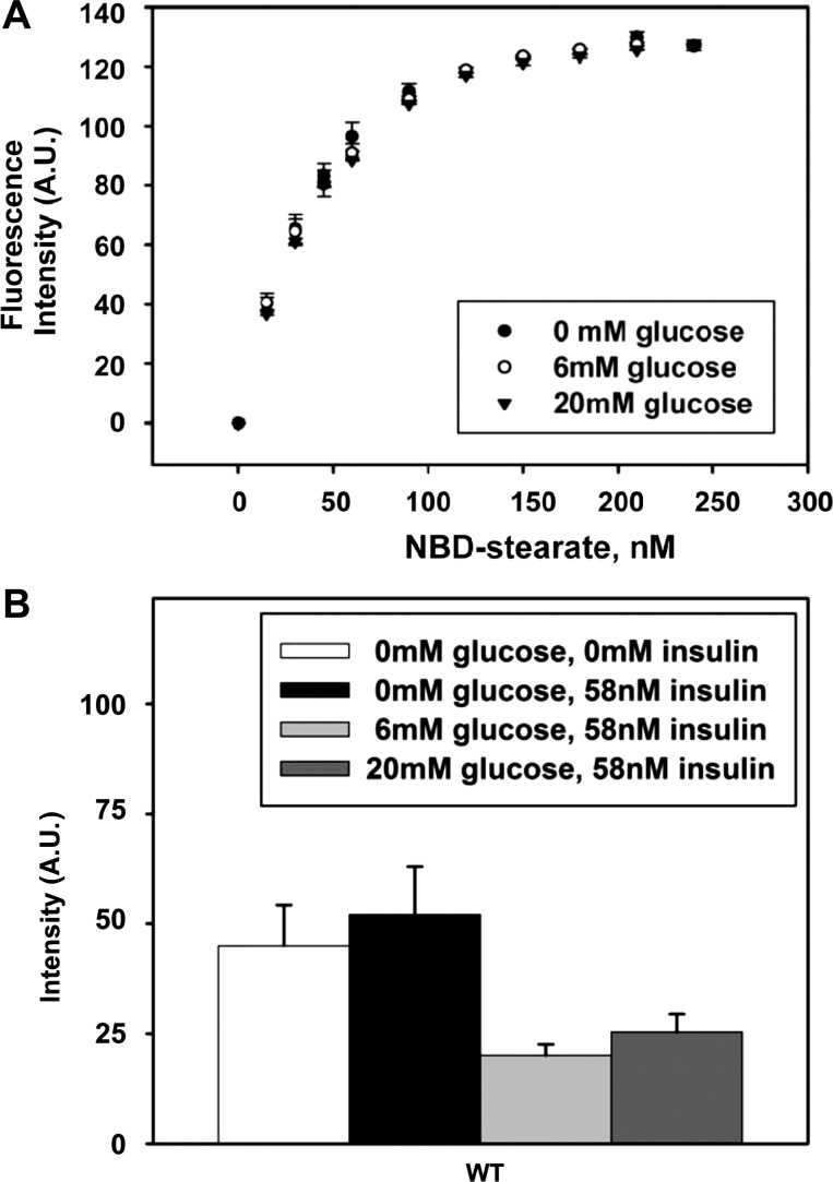 Fig. 10.