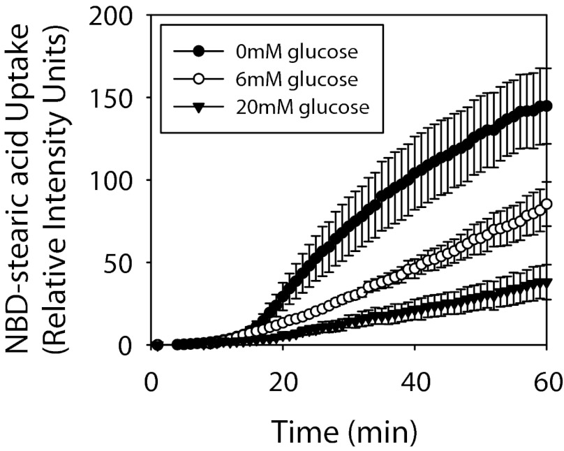 Fig. 8.