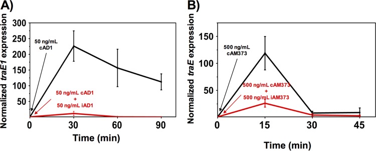 FIG 5